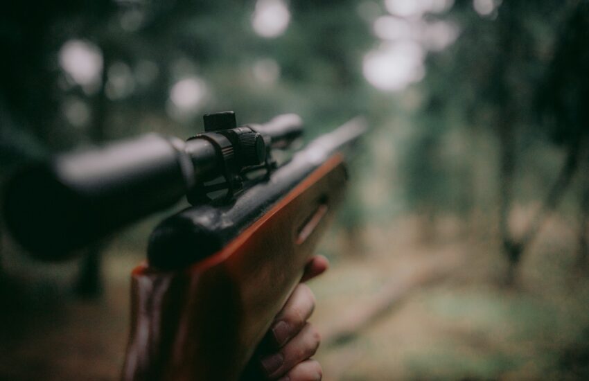 selective focus photography of brown hunting rifle